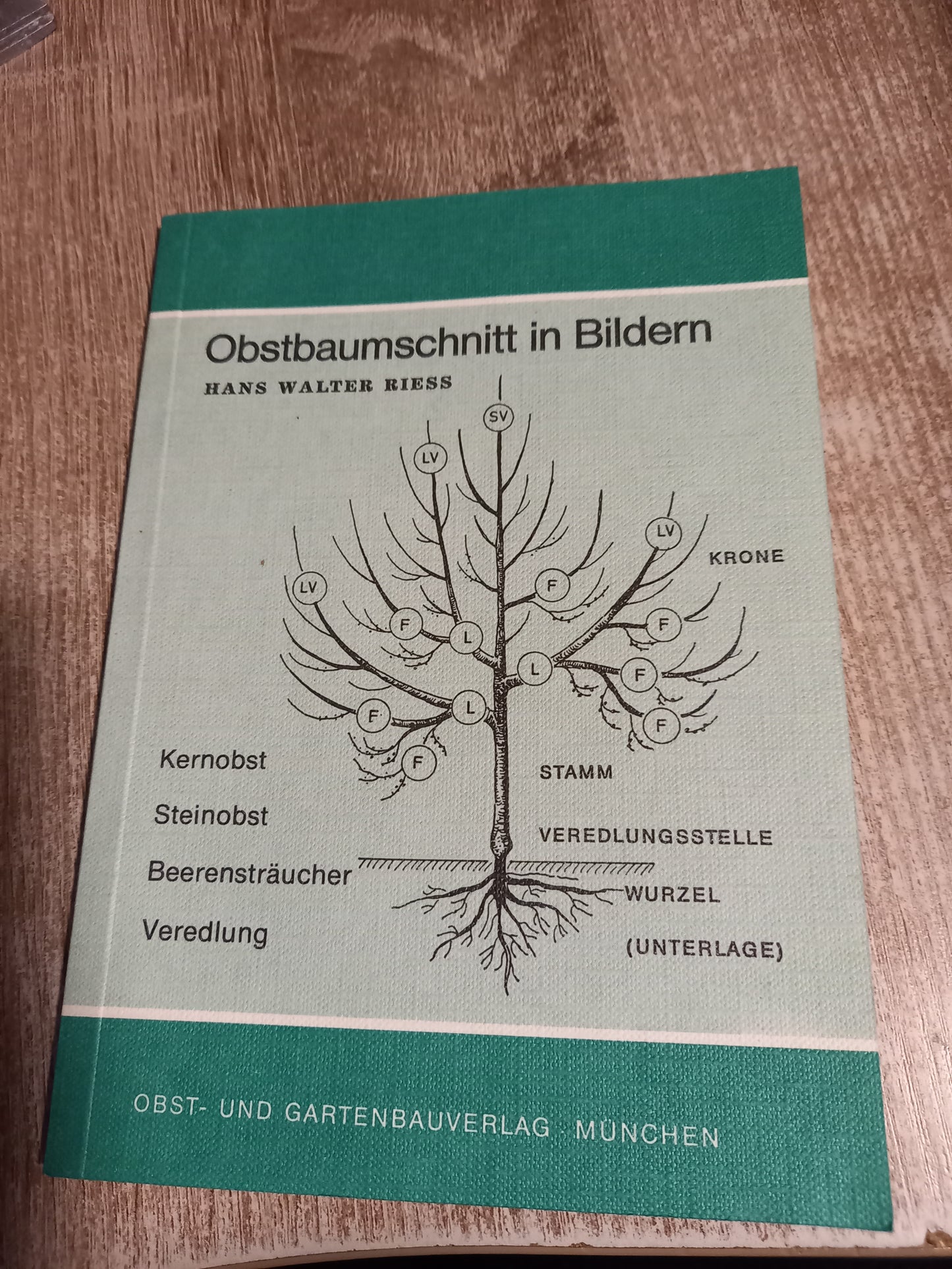 Obstbaumschnitt in Bildern
