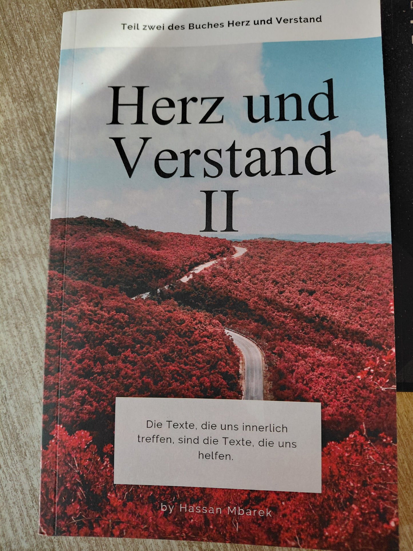 Herz und Verstand II von Hassan Mbarek