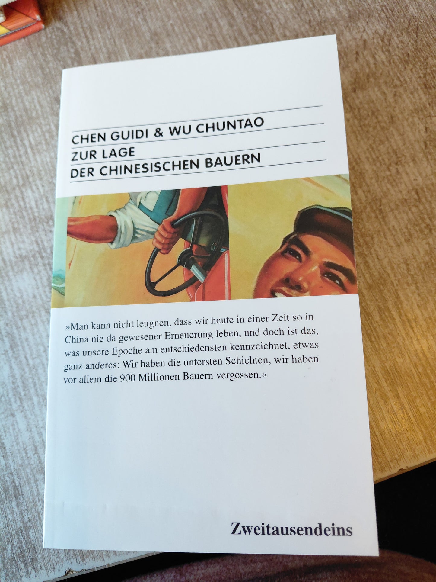 Zur Lage der chinesischen Bauern von Guidi & Chuntao