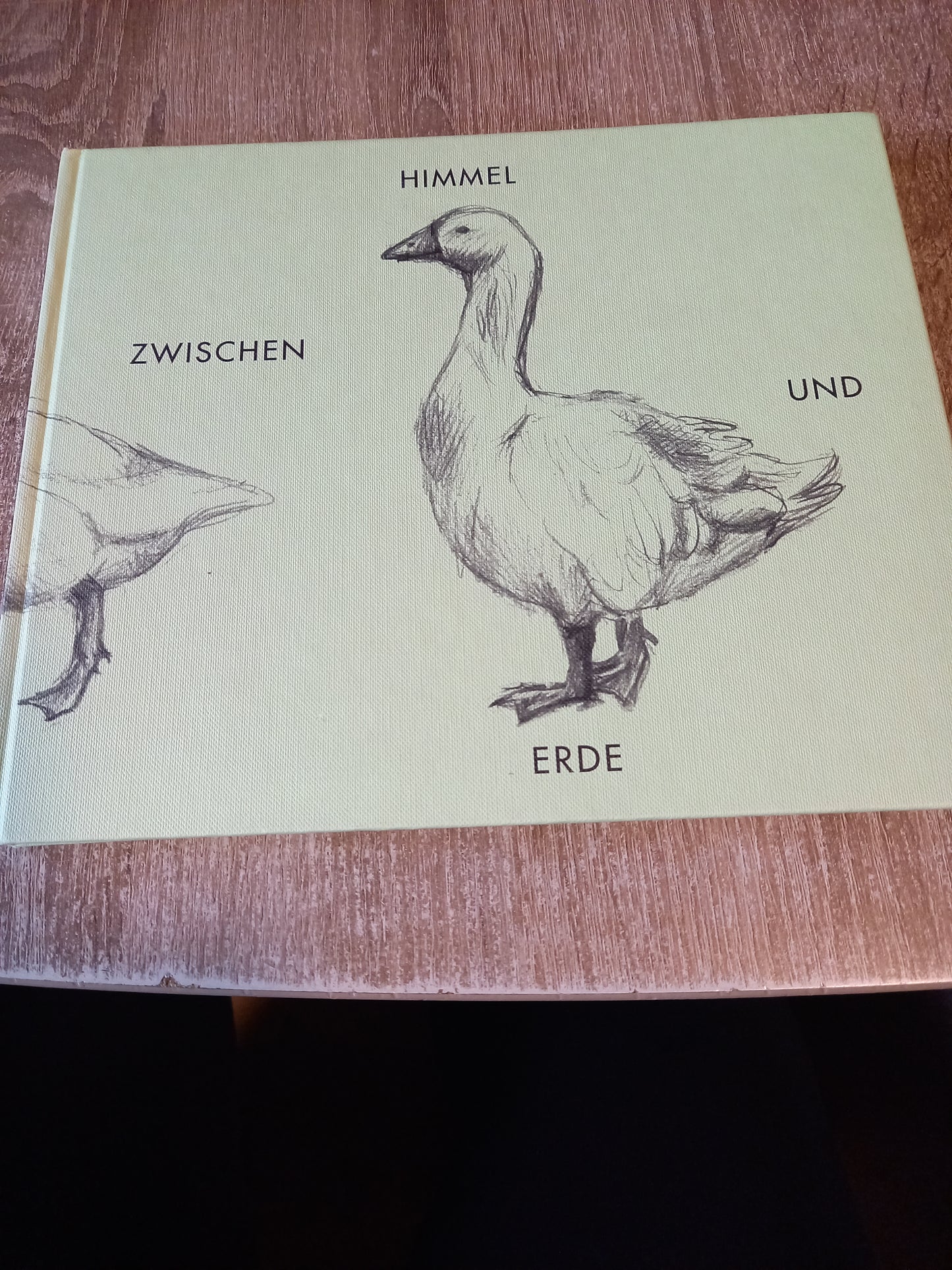 Zwischen Himmel und Erde von Petra Förster einer Künstlerin