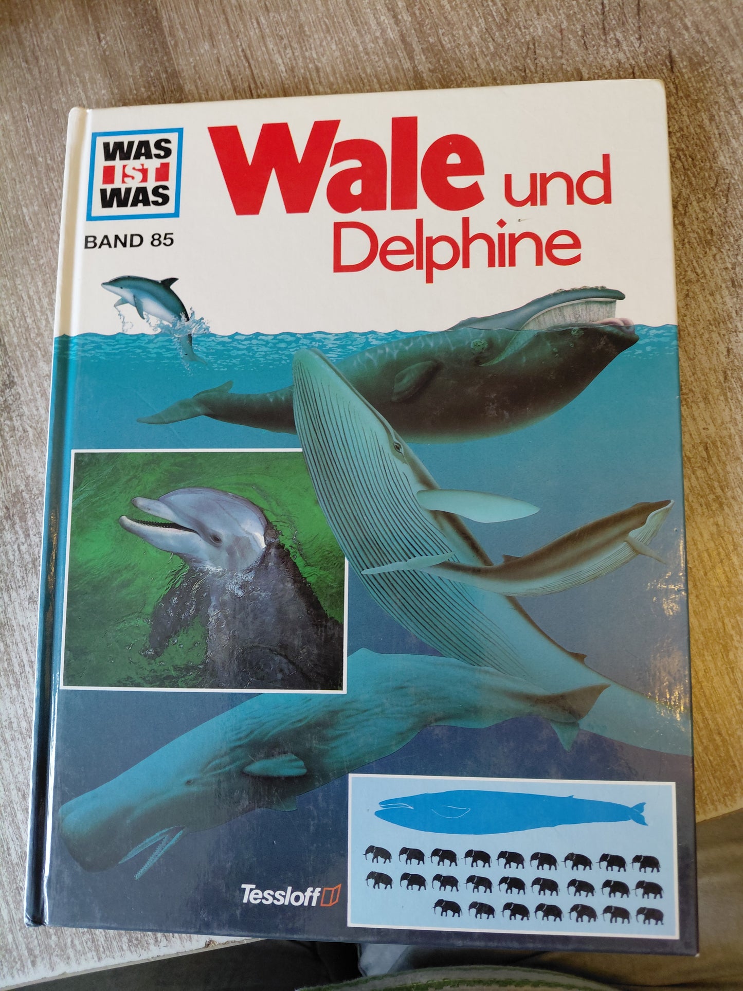 Wale und Delphine Was ist was Band 29