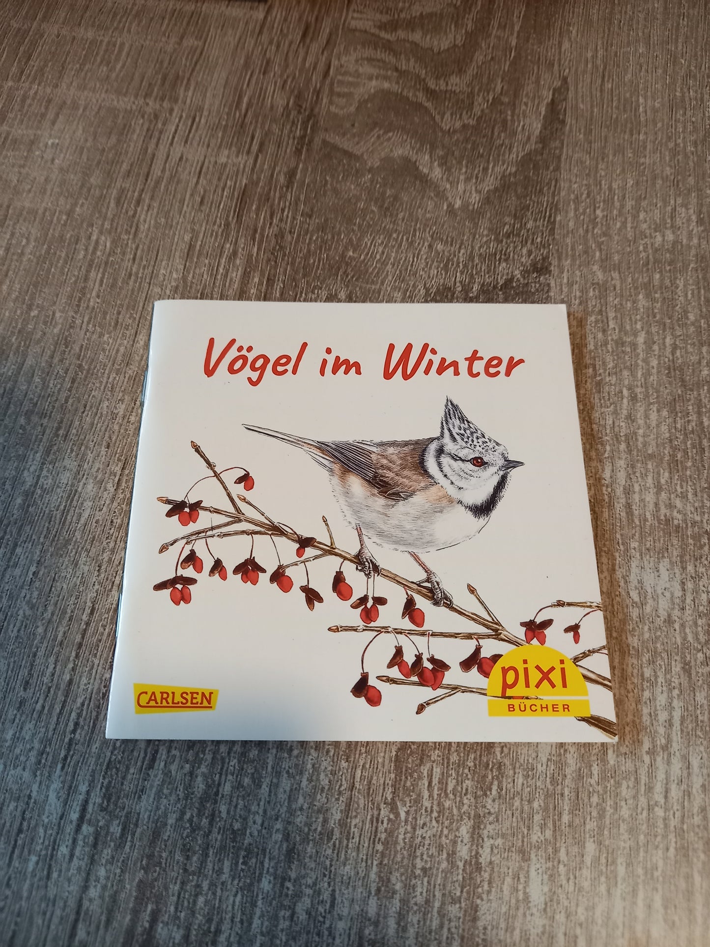 Vögel im Winter