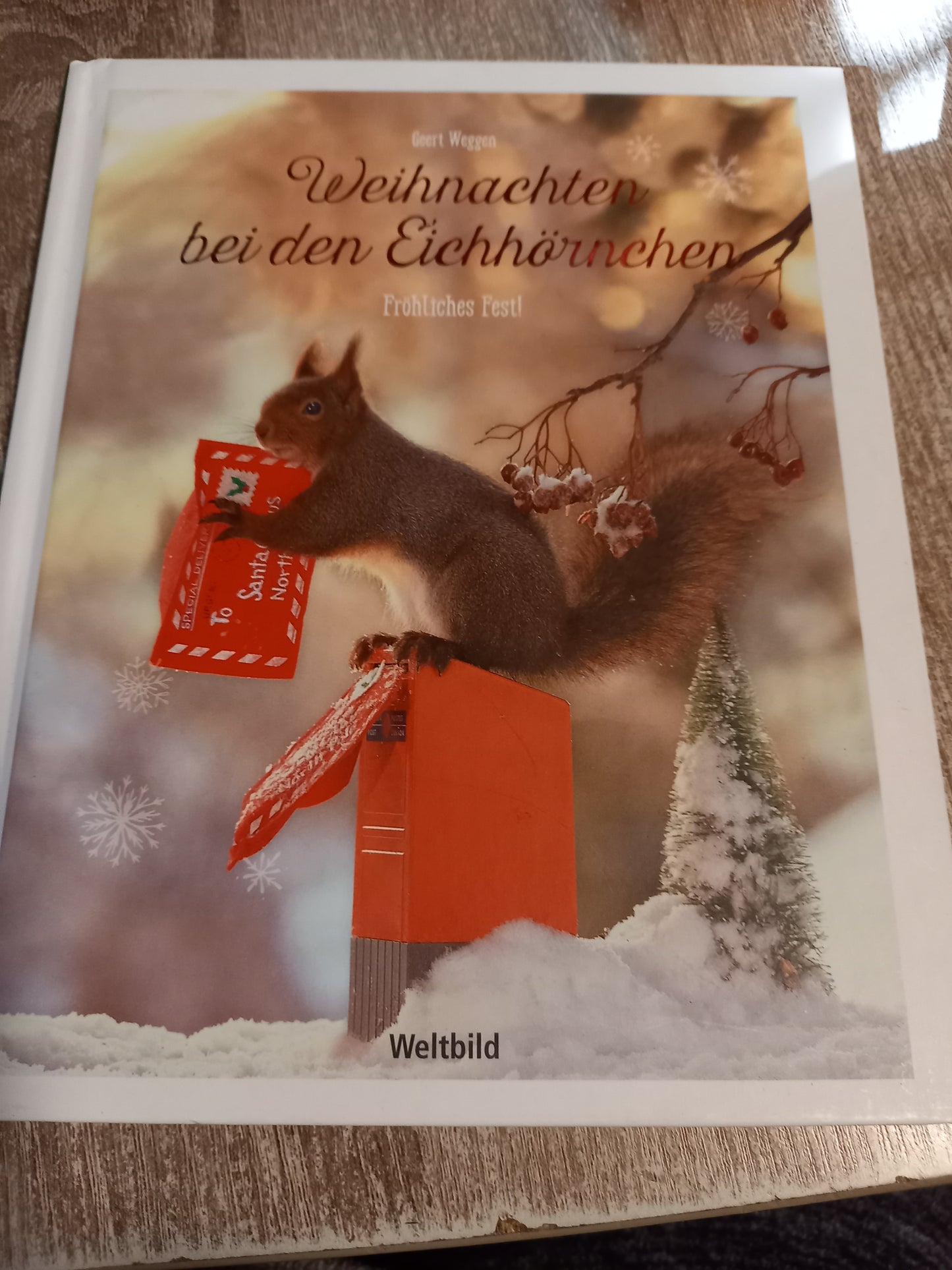 Weihnachten bei den Eichhörnchen