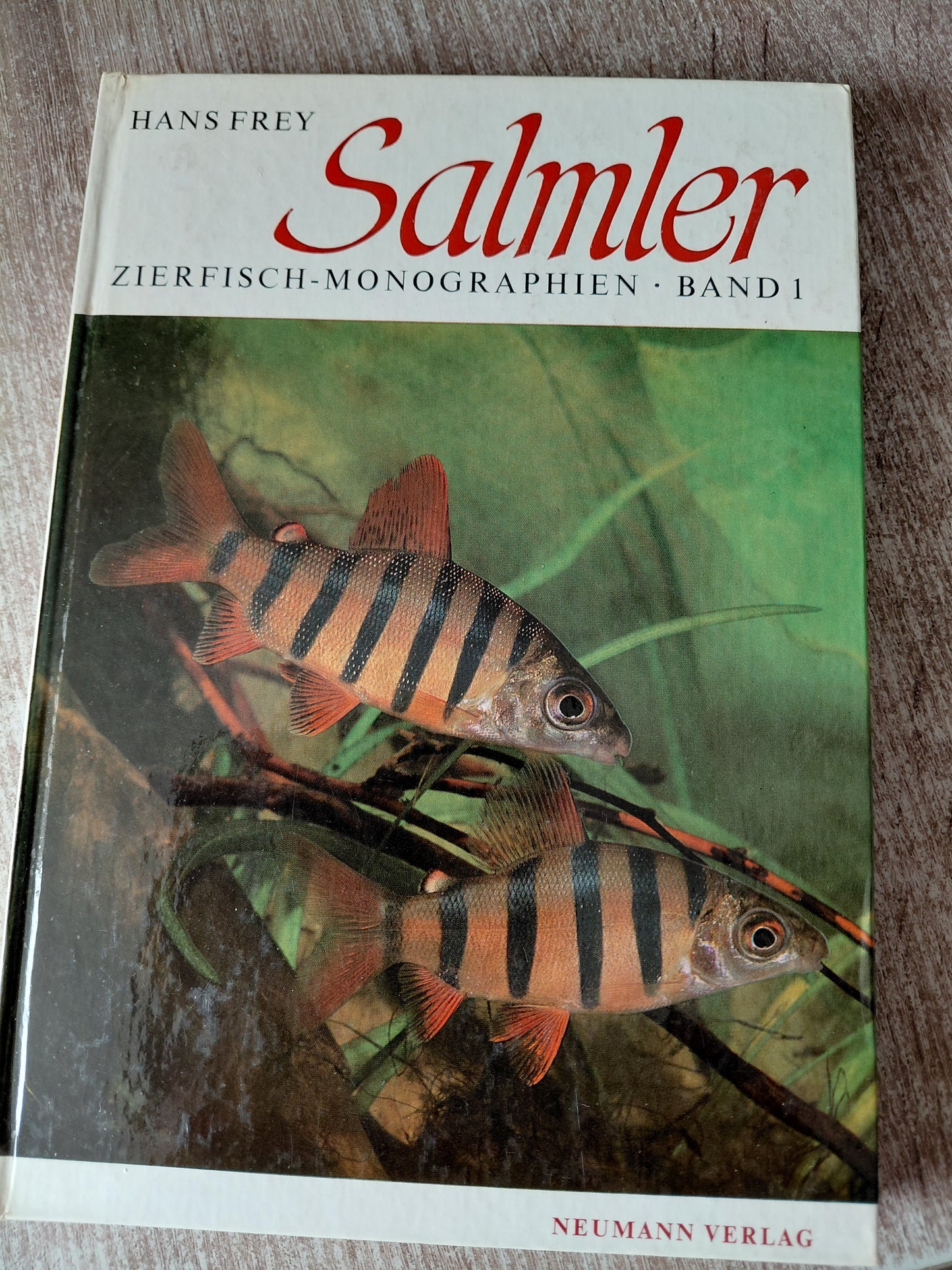 Salmler Zierfisch Monographien Band 1