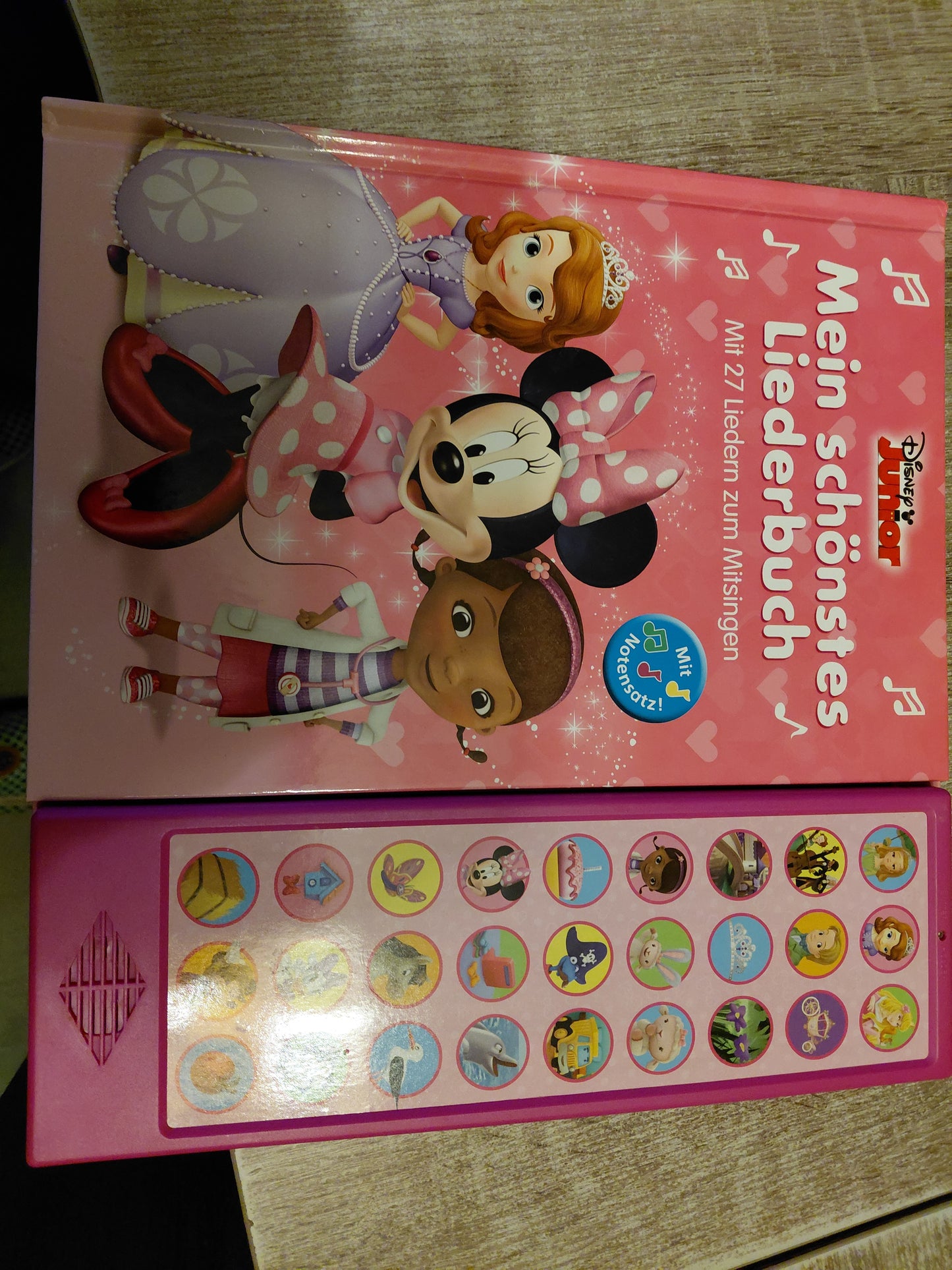 Mein schönstes Liederbuch von Disney Junior 27 Lieder zum mitsingen