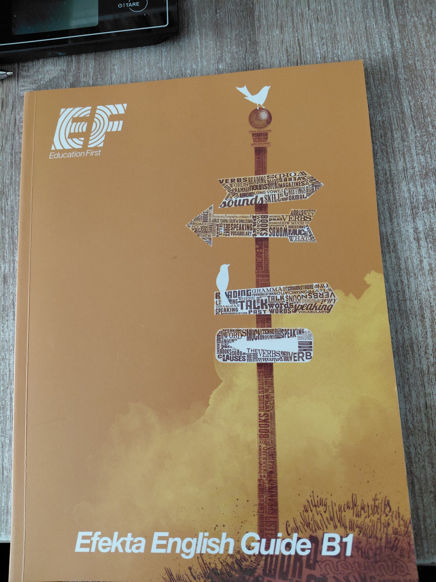 Efekta English Guide B 1