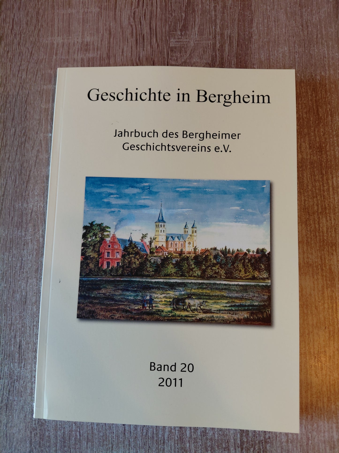 Geschichte in Bergheim Band 20 von 2011
