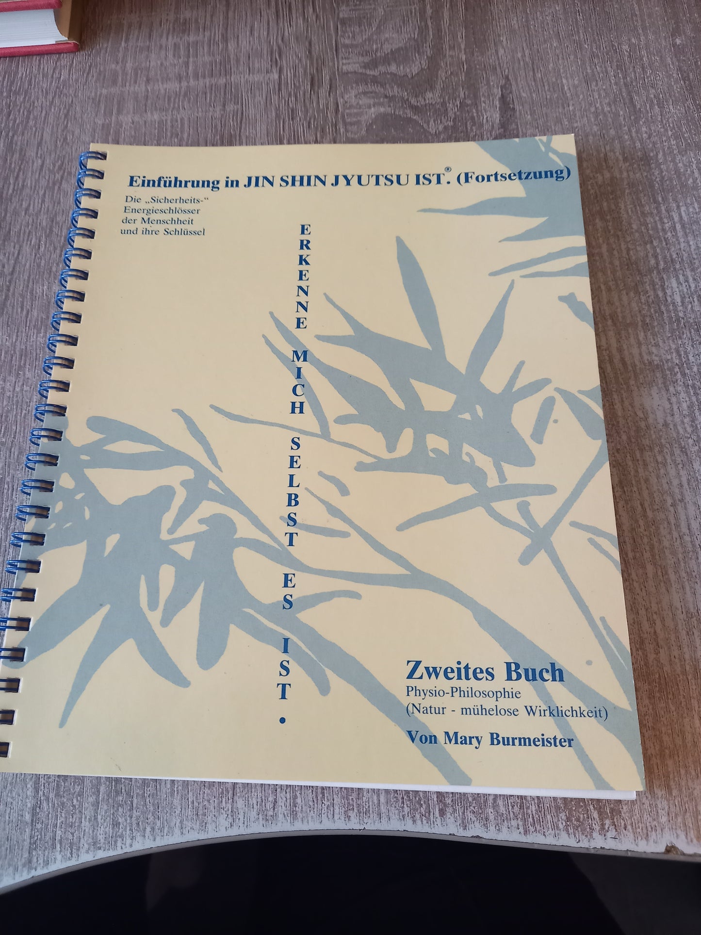 Einführung in Jin Shin Jyutsu ist Erkenne mich selbst es ist zweites Buch von Burmeister
