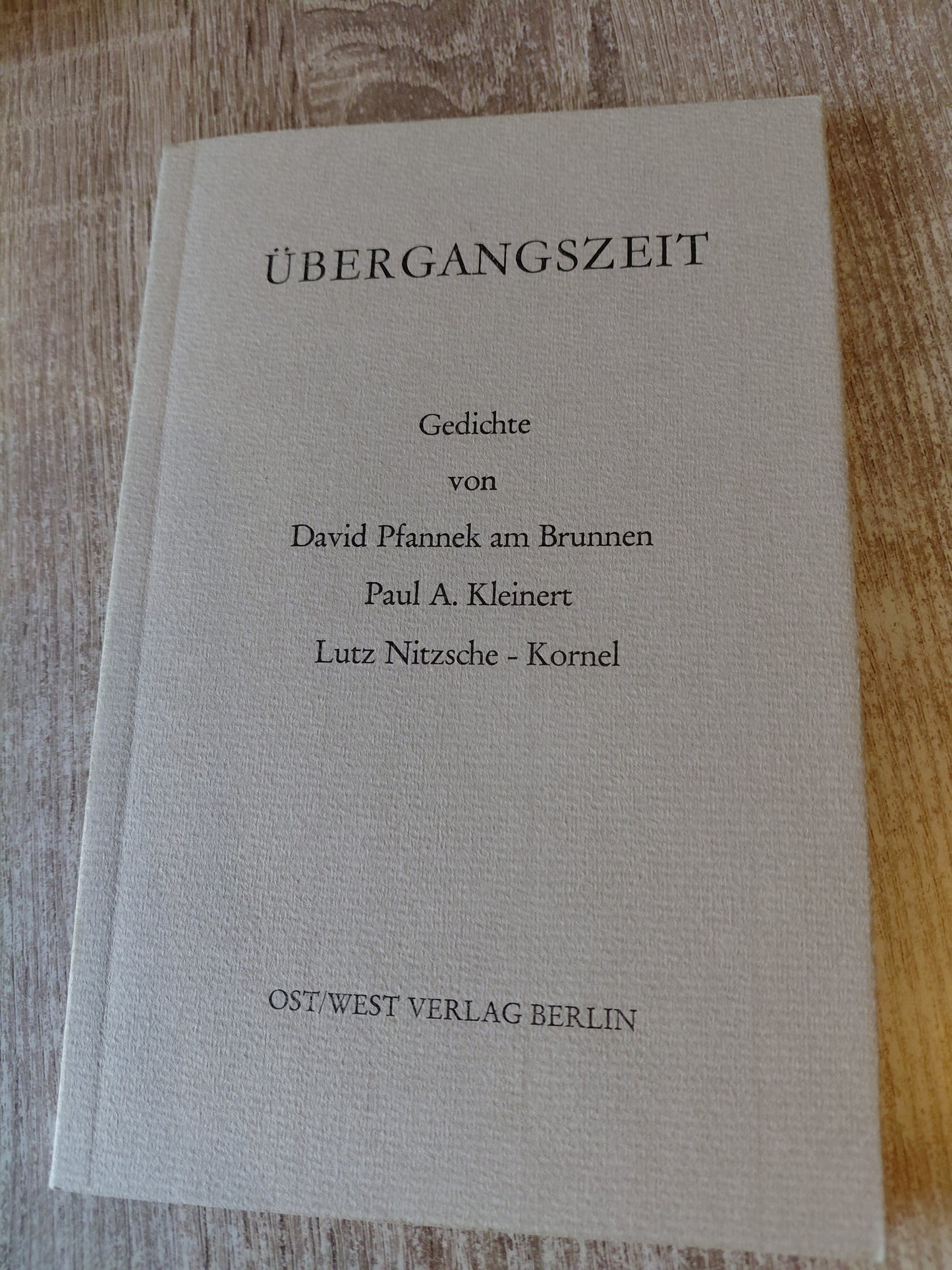 Übergangszeit Gedichte von Lutz Nitzsche-Kornel
