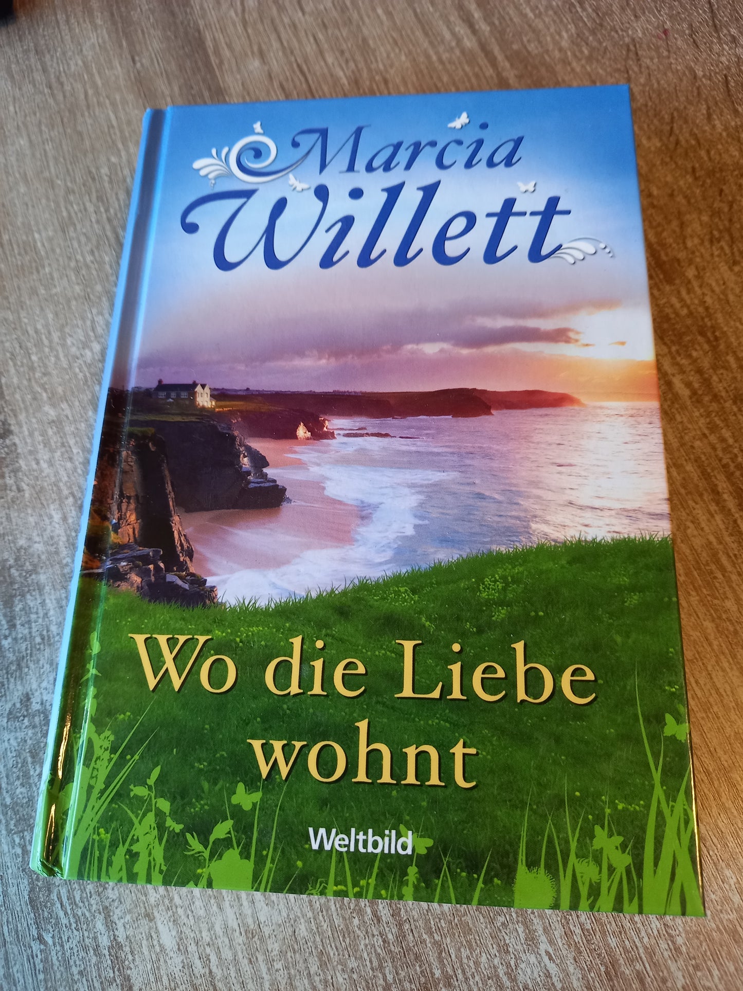 Wo die Liebe wohnt von Willett