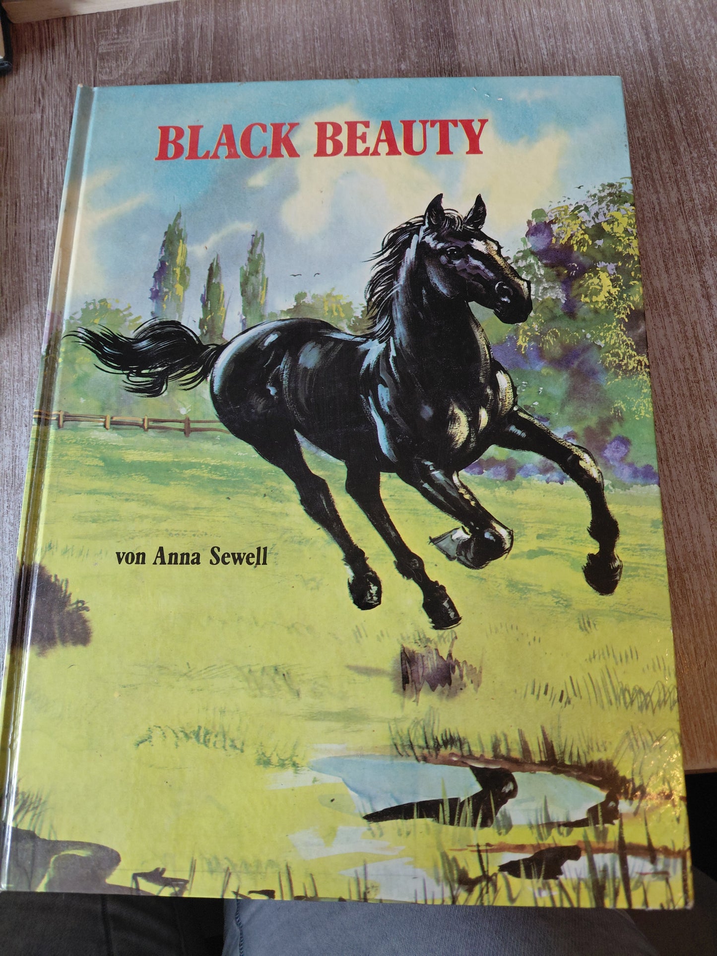 Black Beauty von Sewell