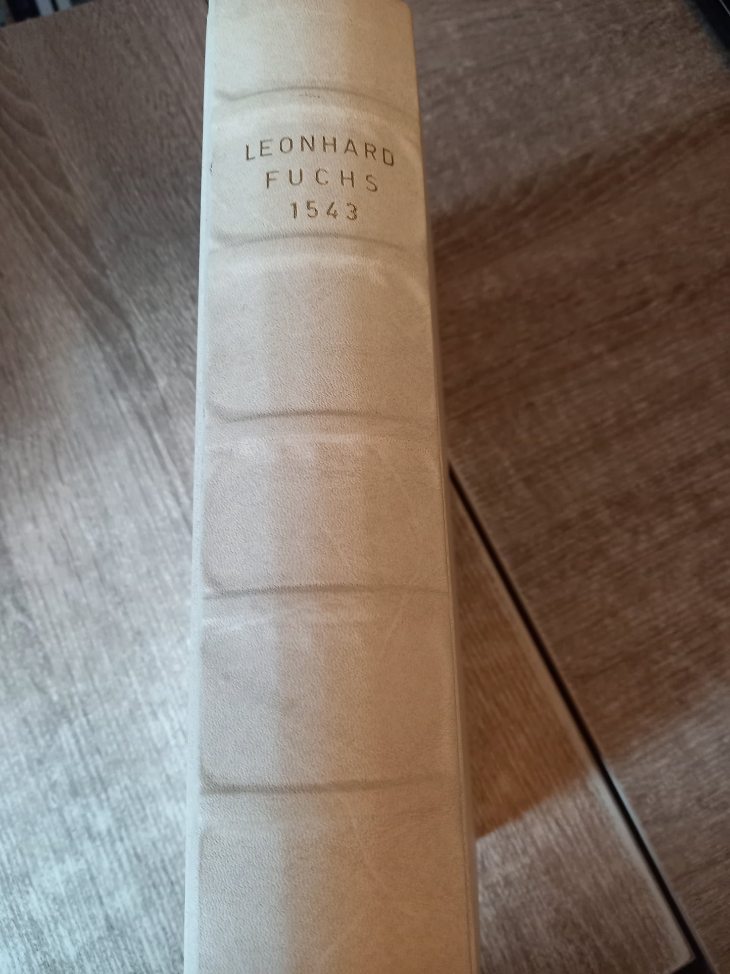 Leonhard Fuchs 1543