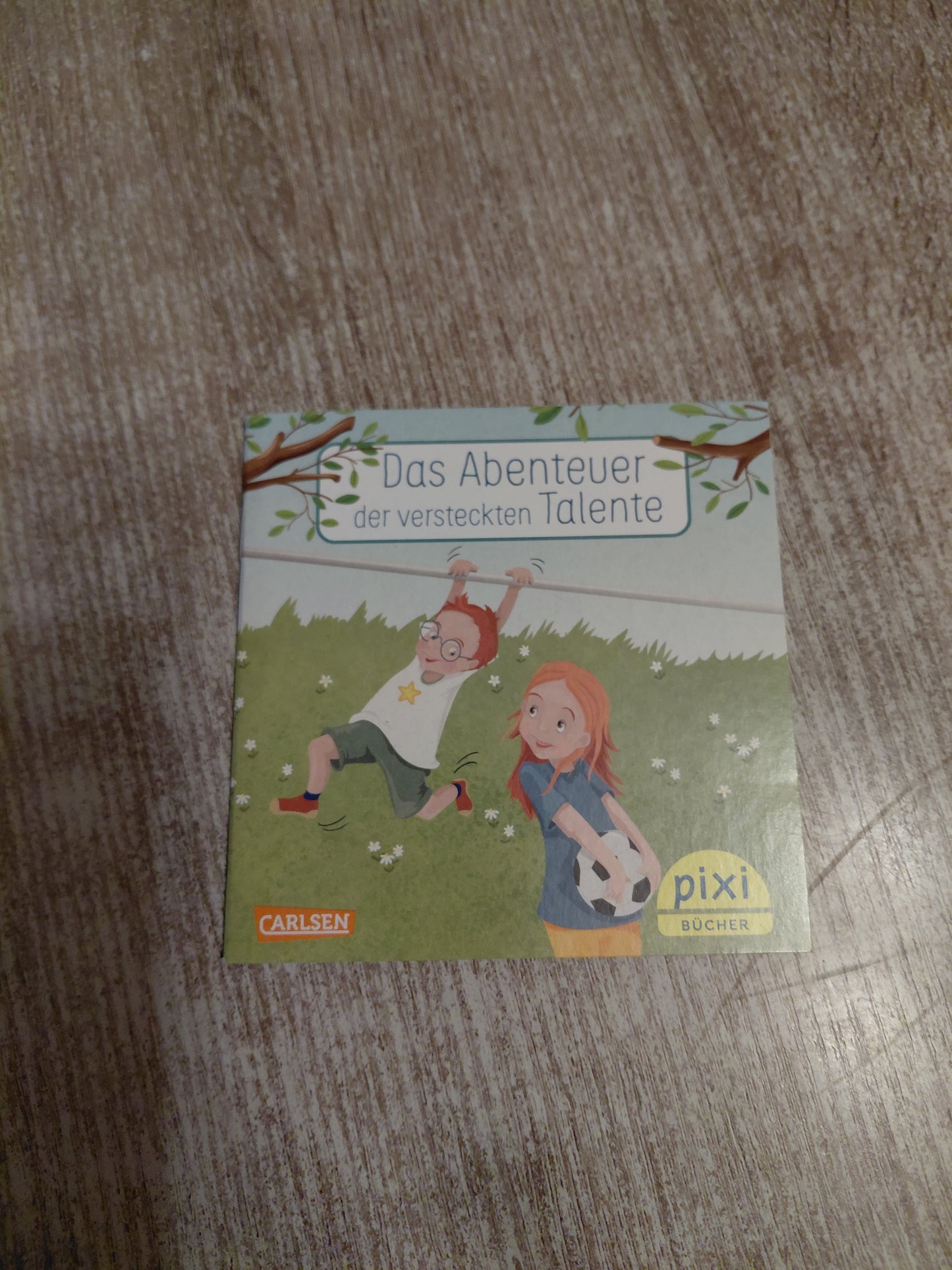 Das Abenteuer der versteckten Talente Pixi