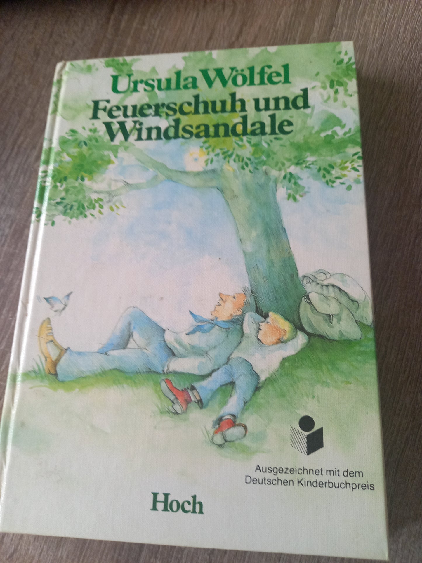 Feuerschuh und Windsandale von Wölfel