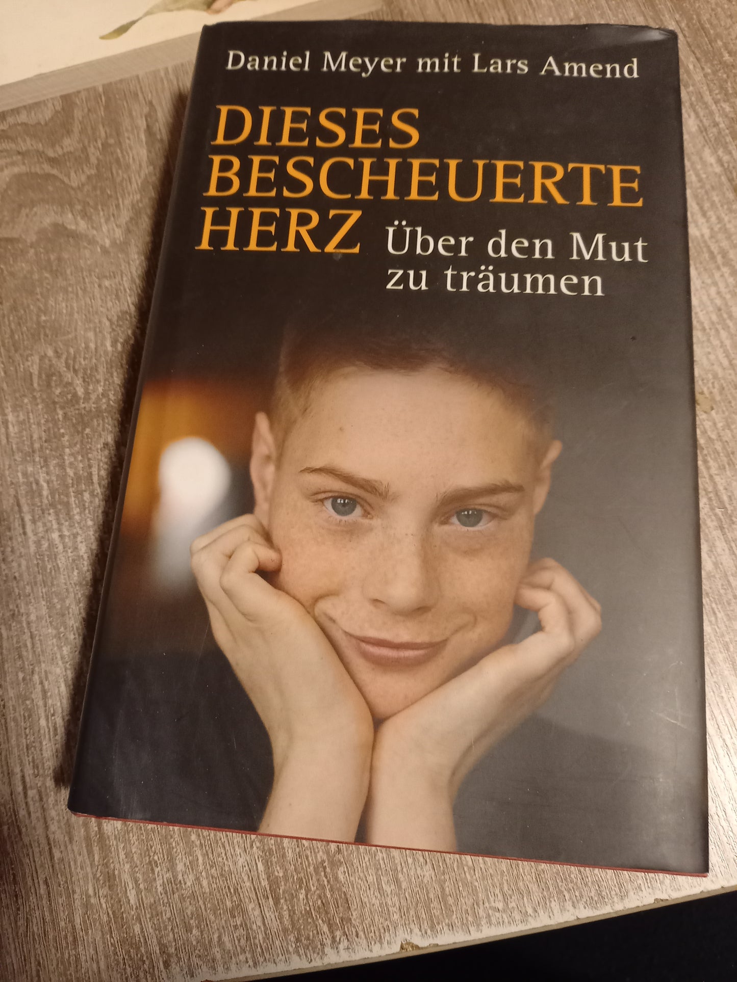 Dieses bescheuerte Herz von Meyer und Amend