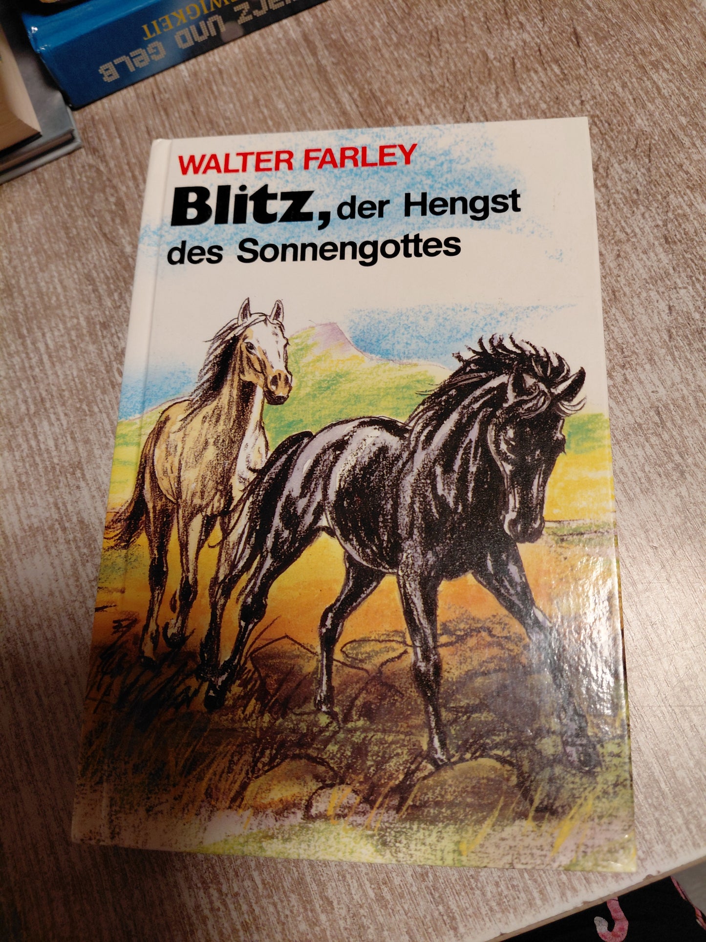 Blitz der Hengst des Sonnengottes von Farley