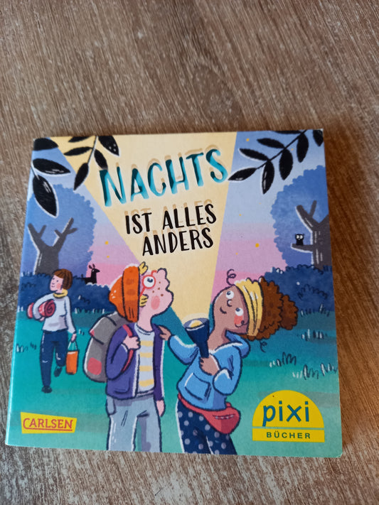 Nachts ist alles anders Pixi 2628