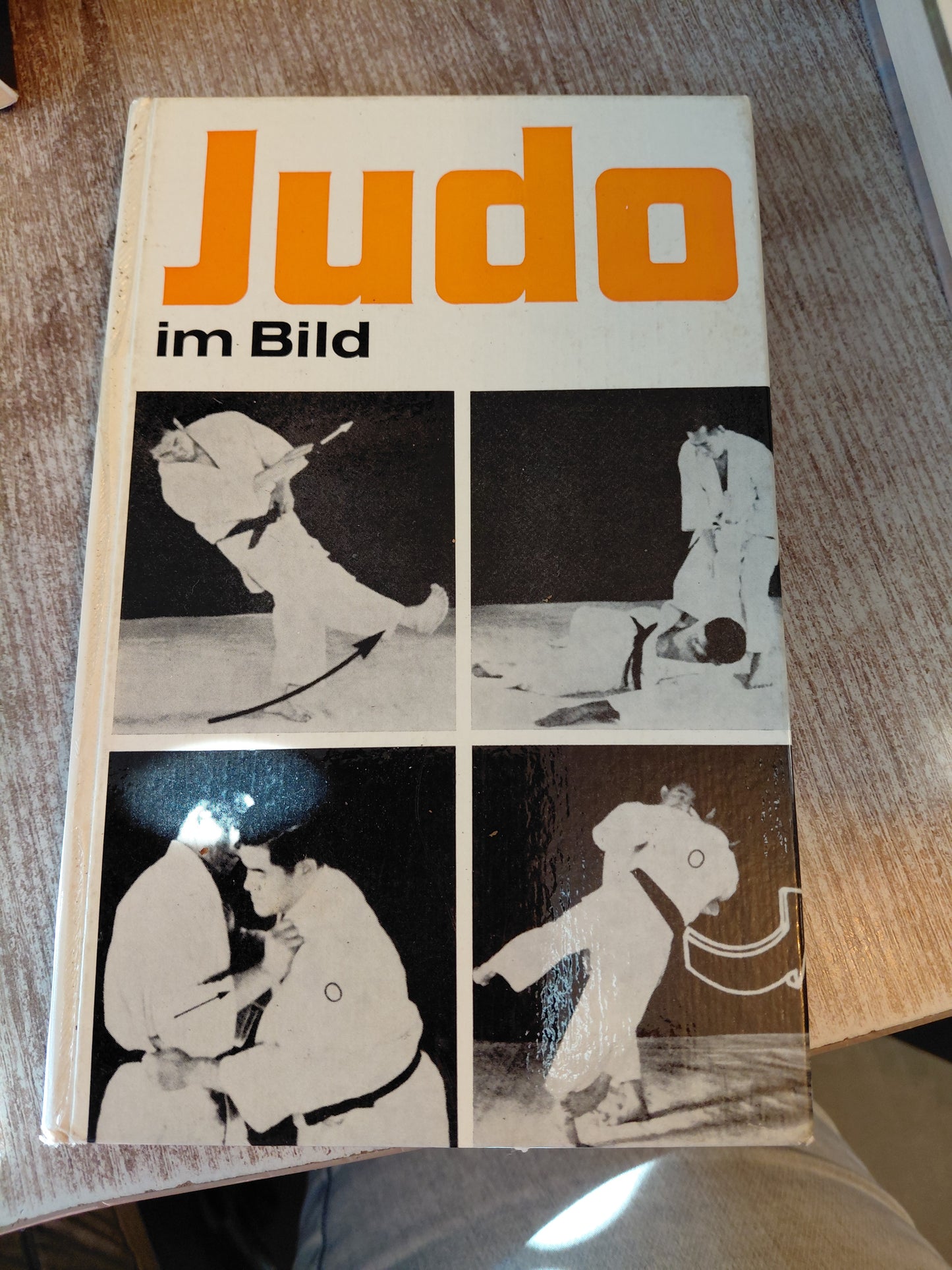 Judo im Bild