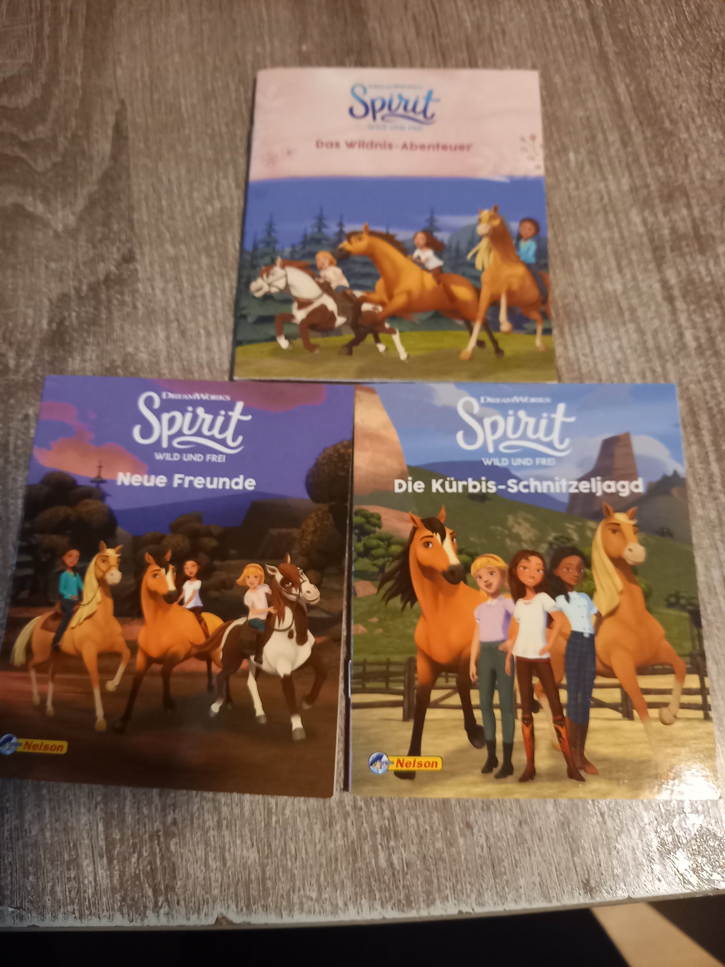 Spirit 3 Hefte 1 Das Wildnis Abenteuer 2 Neue Freunde  3 Die Kürbis Schnitzeljagd