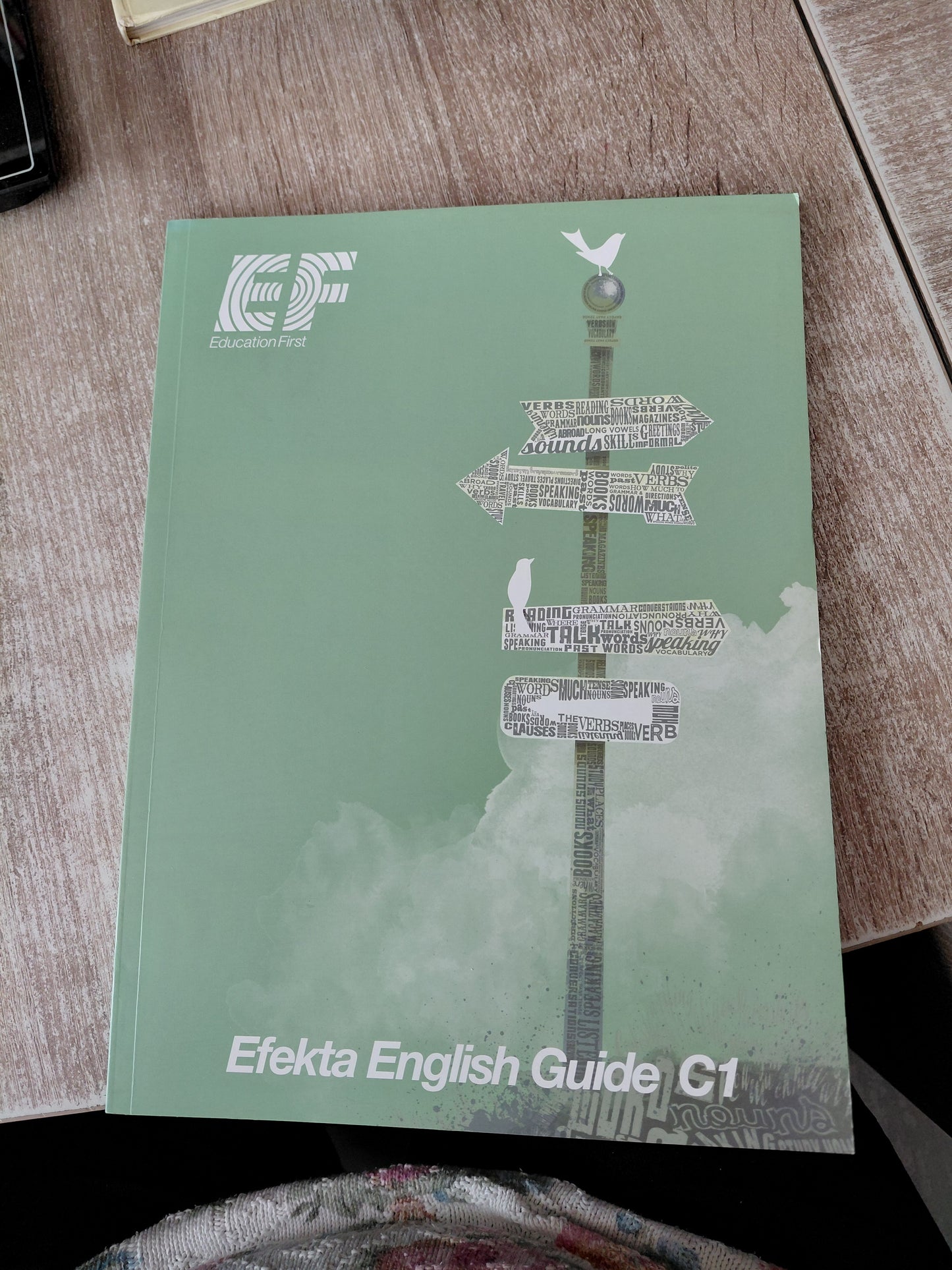 Efekta English Guide C1