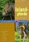 Islandpferde: Eine kleine Isi-Kunde