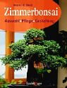 Zimmerbonsai