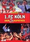 1. FC Köln, Der Aufstieg