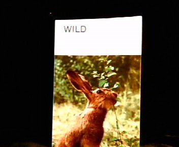 Wild : europäische Jagdtiere.