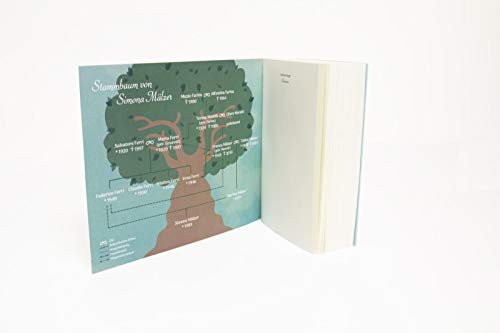 Belmonte (Die Belmonte-Reihe 1): Eine deutsch-italienische Familiensaga