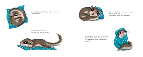 Der kleine Siebenschläfer 1: Die Geschichte vom kleinen Siebenschläfer, der nicht einschlafen konnte (1)