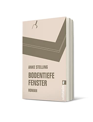 Bodentiefe Fenster: Roman