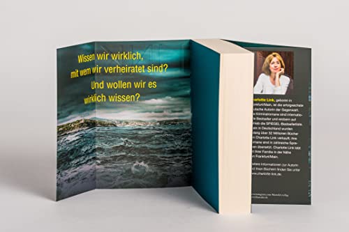 Die Täuschung: Kriminalroman