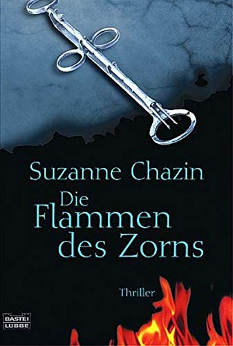 Die Flammen des Zorns (Allgemeine Reihe. Bastei Lübbe Taschenbücher)