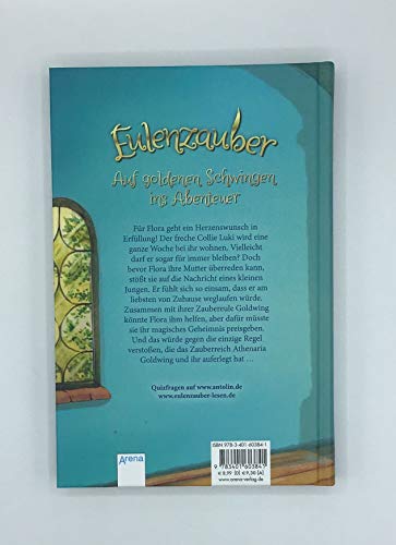 Eulenzauber (9). Der große Herzenswunsch