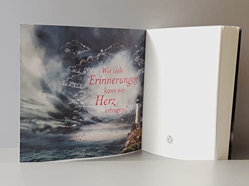 Das Licht der Insel: Roman