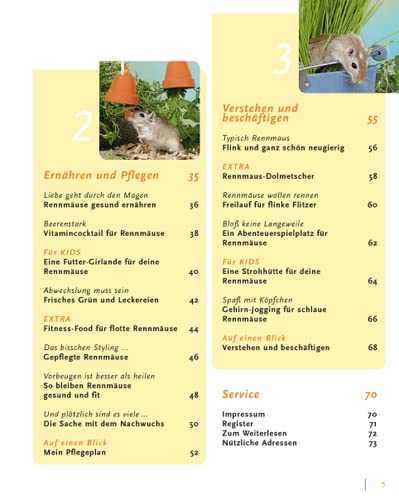 Rennmäuse: halten & pflegen, verstehen & beschäftigen