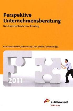 Perspektive Unternehmensberatung 2011