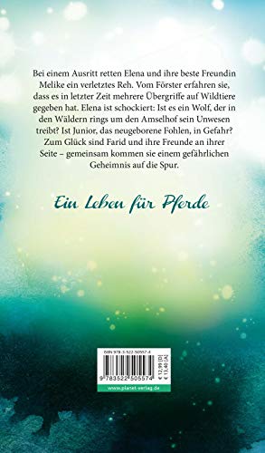 Elena – Ein Leben für Pferde 6: Eine falsche Fährte: Romanserie der Bestsellerautorin (6)