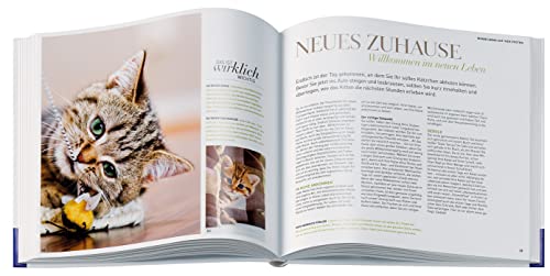 Katzenglück: Bestens versorgt ein Leben lang