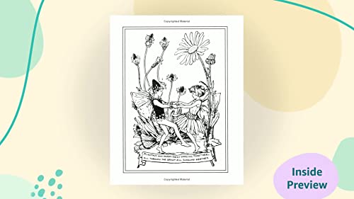 Flower Fairies of the Summer