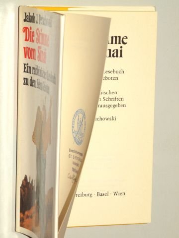 Die Stimme vom Sinai. Ein rabbinisches Lesebuch zu den Zehn Geboten