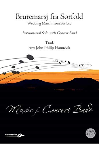 Elektronisch Orgel 02