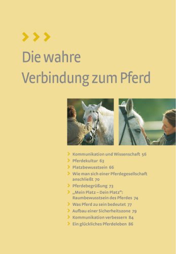 Was Pferde wirklich brauchen