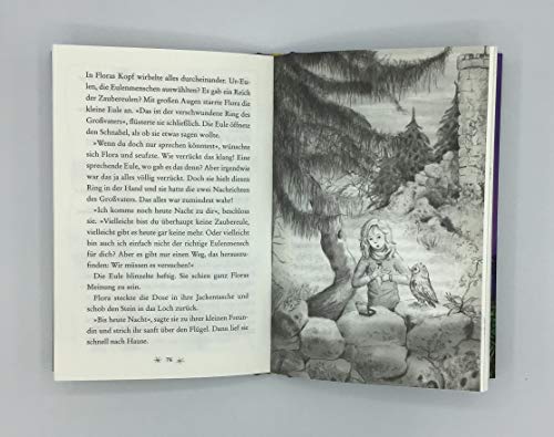 Eulenzauber (1). Ein goldenes Geheimnis