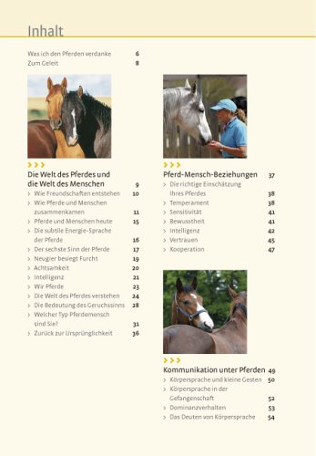 Was Pferde wirklich brauchen