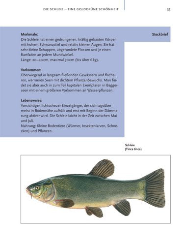 Beisst nicht gibt's nicht: Fangerfolg garantiert