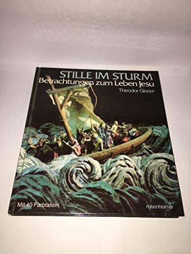 Stille im Sturm. Betrachtungen zum Leben Jesu