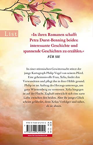 Die Liebe des Kartographen: Roman