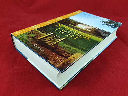 Sommerlicht : Roman. = Facing the light