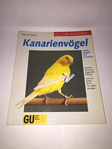 Kanarienvögel richtig pflegen und verstehen. Experten- Rat für die artgerechte Haltung
